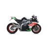 Terminale Maxi Race-Tech Approved aluminium Dark"" Aprilia RSV 4 RR / RF 2017 2018