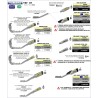 Terminale Indy Race titanio con fondello carby + raccordo non catalitico Yamaha YZF 1000 R1 2015 2016