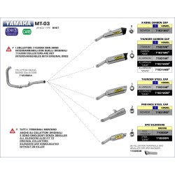 Kit terminale GP2 Yamaha MT-03 2016 2017