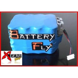 BATTERIA AL LITIO ULTRA LEGGERA BATTERYFLY per BMW GS 800 08/12